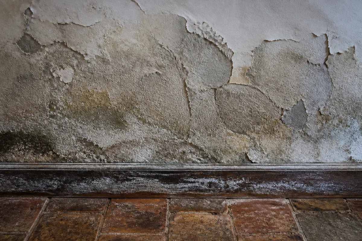 Auréole d’humidité au bas d’un mur de granit dans une maison ancienne du pays de Fougères